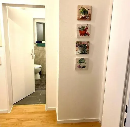 Appartement Main 1 -ferienwohnung In Der Perle Am Main