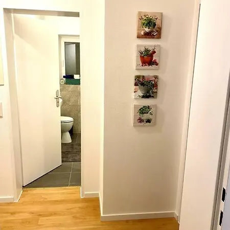 Апартаменты Main 1 -ferienwohnung In Der Perle Am Main